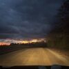 francishaley518